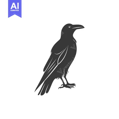 A black silhouette of a crow, standing on a white background