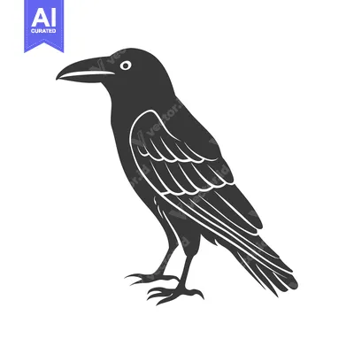 Popular premium asset: A black silhouette of a crow with its wings folded