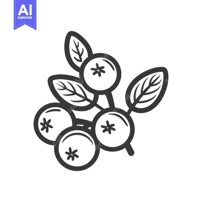 Aset premium populer: A Branch of Four Black and White Berries with Leaves