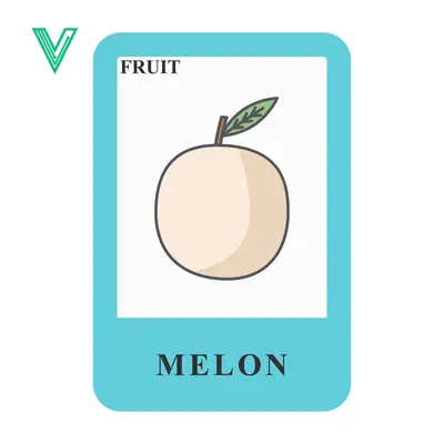 Simple illustration of a melon on a flashcard for learning