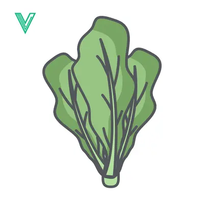 Illustration of a fresh green lettuce leaf bunch