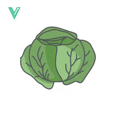 Fresh Green Cabbage Vegetable Illustration