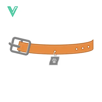 Orange Dog Collar with Paw Print Tag