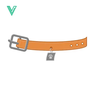 Orange Dog Collar with Paw Print Charm