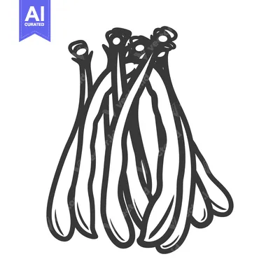 Aset premium populer: A Bunch of Fresh Green Beans