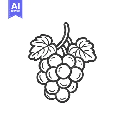 Premium design asset: A Bunch of Grapes with Leaves on a Vine