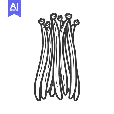 Aset premium populer: A Bundle of Black and White Line Drawn String Beans