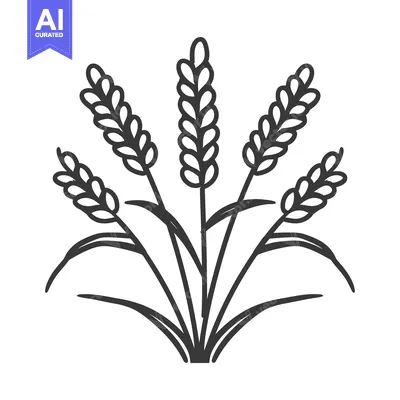 A cluster of five wheat stalks with long, narrow leaves and rounded gr