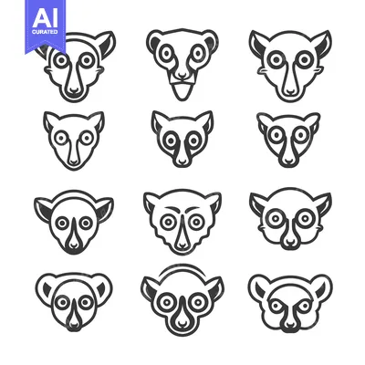 A Collection of 12 Black and White Line Drawings of Lemur Faces
