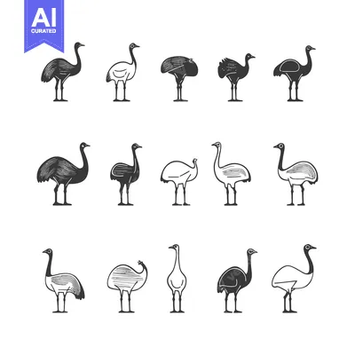 Premium design asset: A collection of 12 black and white stylized emu illustrations