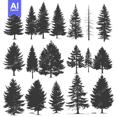A Collection of 12 Detailed Evergreen Tree Silhouettes