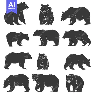 Premium design asset: A Collection of 12 Silhouettes of Grizzly Bears in Various Poses