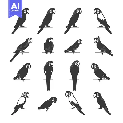 A Collection of 14 Black and White Parrot Silhouettes