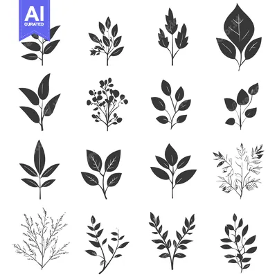 Aset premium populer: A Collection of 14 Black and White Silhouettes of Various Leaf Shapes