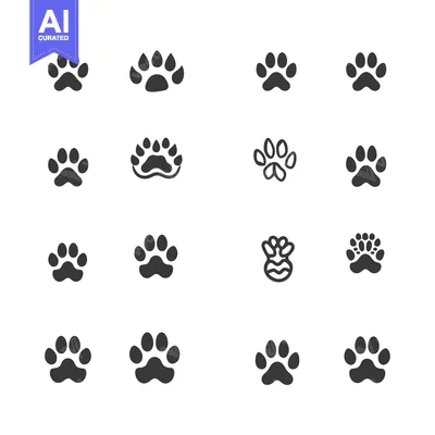 A Collection of 16 Animal Paw Print Icons in Black