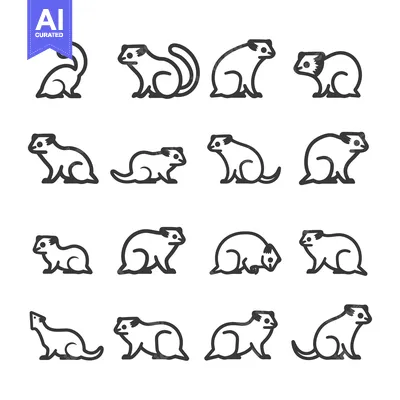 A Collection of 16 Line Art Illustrations of Ferrets in Various Poses