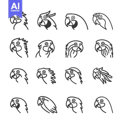Popular premium asset: A Collection of 16 Line Drawings of Parrot Heads