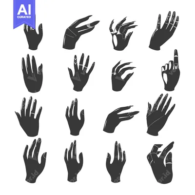 Premium design asset: A Collection of 16 Silhouette Hand Gestures