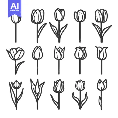 Aset premium populer: A Collection of 18 Hand-Drawn Tulip Illustrations