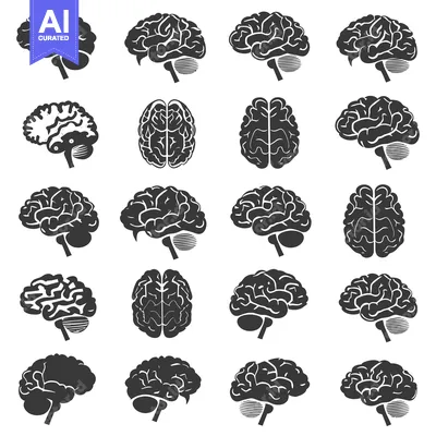 Aset premium populer: A Collection Of 20 Black And White Brain Illustrations 40501
