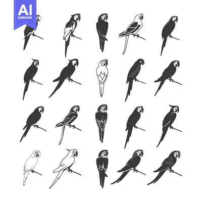 A Collection of 20 Black and White Macaw Parrot Silhouettes