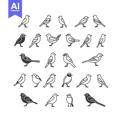 A Collection of 24 Black and White Line Drawings of Birds