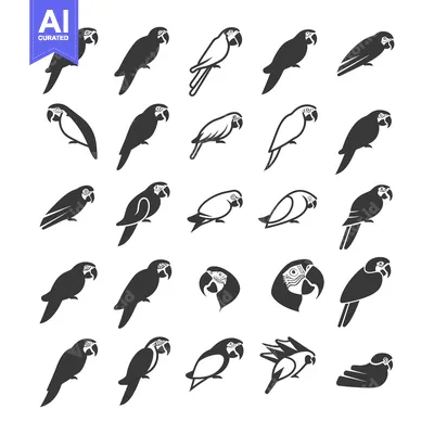 A Collection of 25 Black and White Parrot Silhouettes