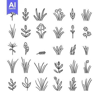 A Collection of 28 Line Drawings of Various Grasses and Flowers