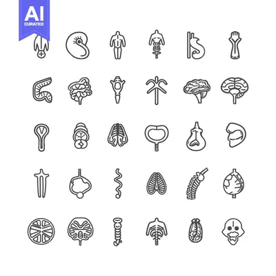 Aset desain premium: A Collection of 30 Human Organ Outline Icons