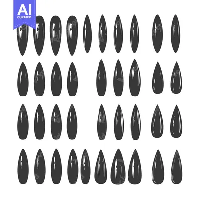 Aset premium populer: A Collection of 48 Hand-Drawn Black and White Sunflower Seed Silhouett