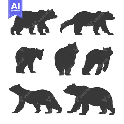 Aset premium populer: A Collection of Bear Silhouettes in Various Poses