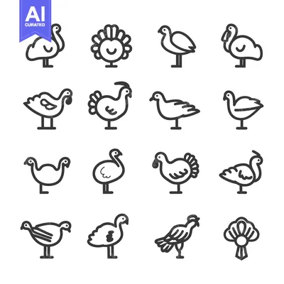 Premium design asset: A Collection of Bird and Poultry Line Icons