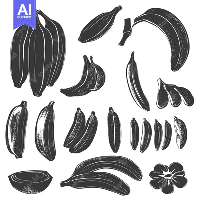 Aset premium populer: A Collection of Black and White Banana Illustrations