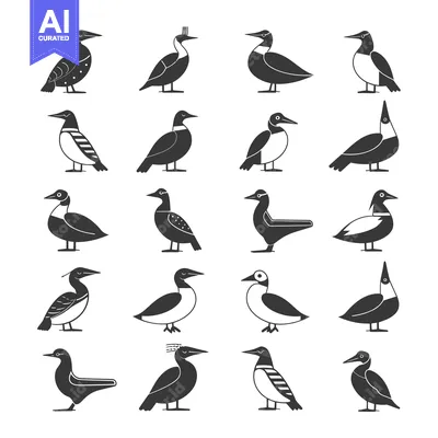 Aset desain premium: A Collection of Black and White Bird Silhouettes