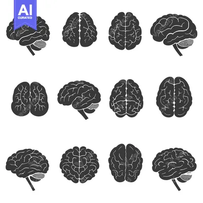 Aset desain premium: A Collection of Black and White Brain Silhouettes