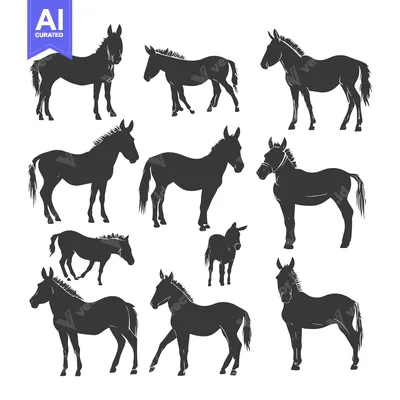 Aset desain premium: A Collection of Black and White Donkey Silhouettes in Various Poses