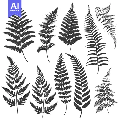 Aset premium populer: A Collection of Black and White Fern Leaf Silhouettes