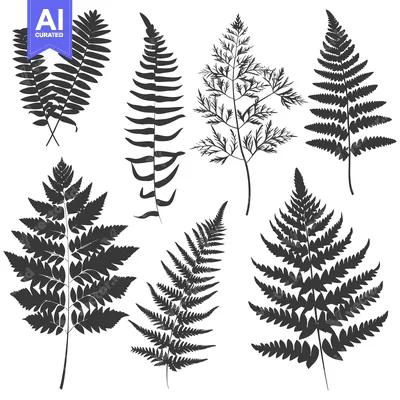 Aset desain premium: A Collection of Black and White Fern Leaf Silhouettes