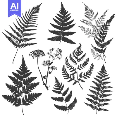 Aset premium populer: A Collection of Black and White Fern Silhouettes