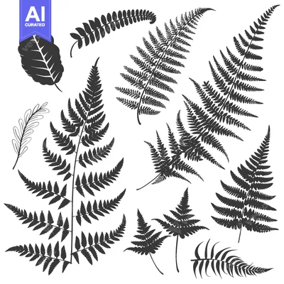 Premium design asset: A Collection of Black and White Fern Silhouettes