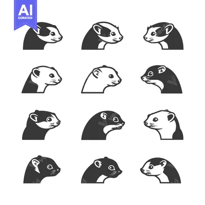 Premium design asset: A Collection of Black and White Ferret Head Illustrations
