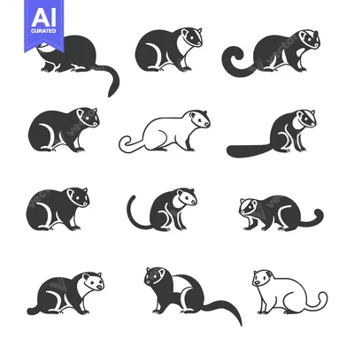 Aset premium populer: A Collection of Black and White Ferret Silhouettes in Various Poses