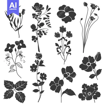 Aset premium populer: A Collection of Black and White Flower Silhouettes