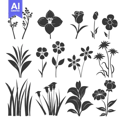 A Collection of Black and White Flower Silhouettes