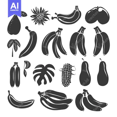 Aset desain premium: A Collection of Black and White Fruit and Plant Silhouettes