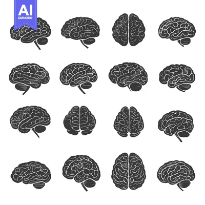 Aset desain premium: A Collection of Black and White Human Brain Silhouettes