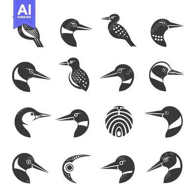 Premium design asset: A Collection of Black and White Kingfisher Bird Illustrations