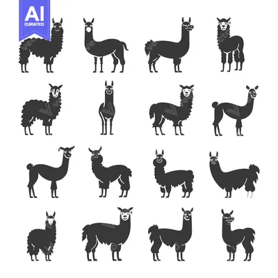 Aset premium populer: A Collection of Black and White Llama Silhouettes