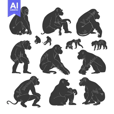 Premium design asset: A Collection of Black and White Monkey Silhouettes in Various Poses