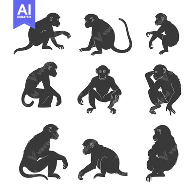 Popular premium asset: A Collection of Black and White Monkey Silhouettes in Various Poses